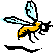 insect venom