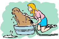 pet dander