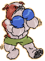 boxer