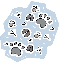 tracking prey