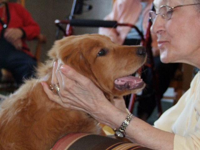 nursing home therapy dog