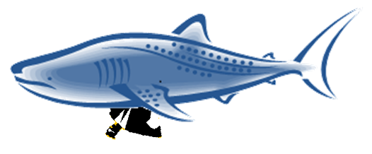 giant whale shark