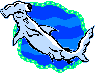 hammerhead shark