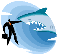 great white shark attack