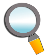 coding audit